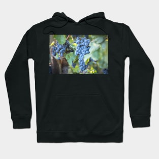 Red Wine Grapes Summer Vineyard Hoodie